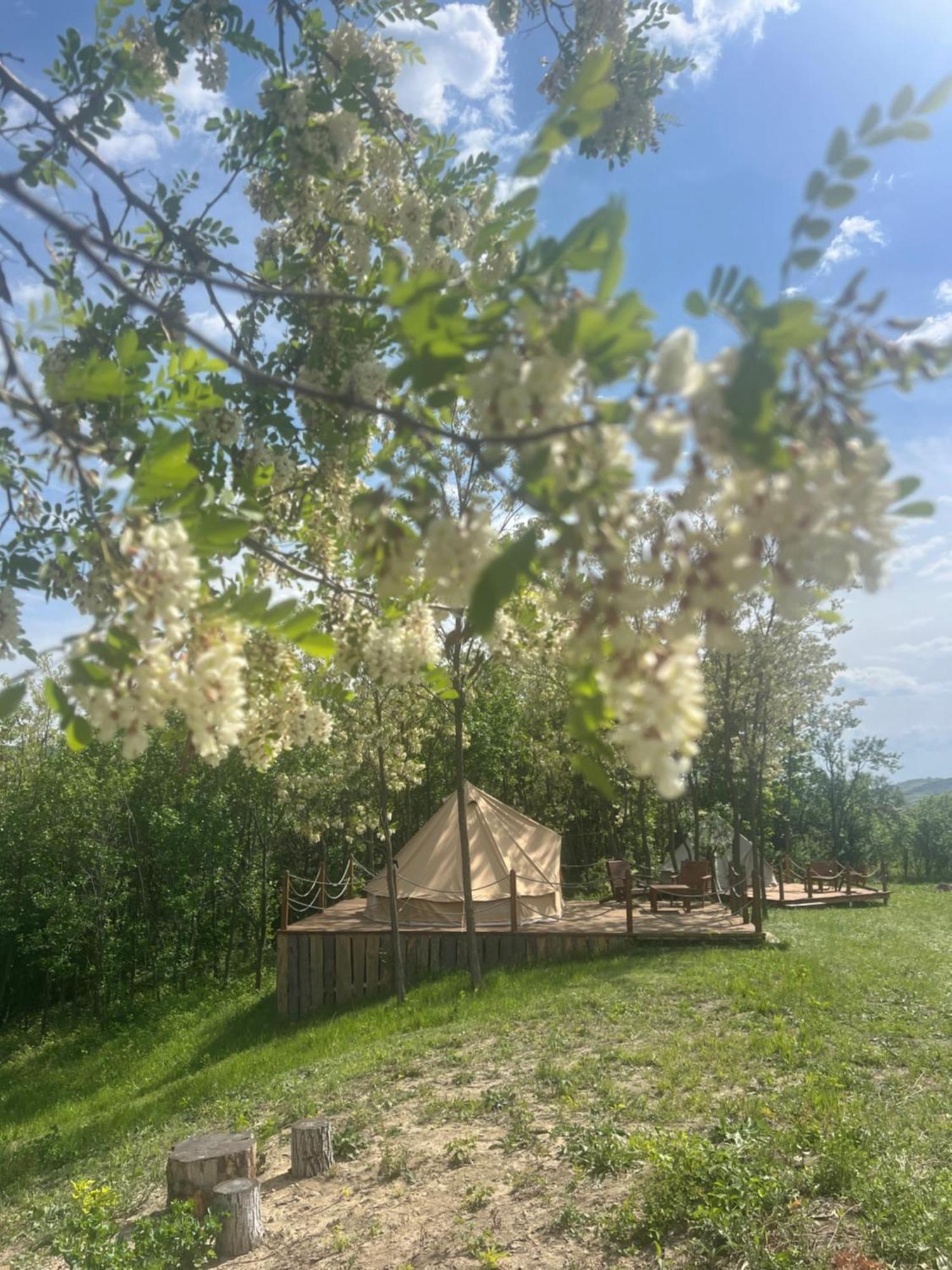 Hotel Deleni Retreat - Glamping Buzau Exterior foto